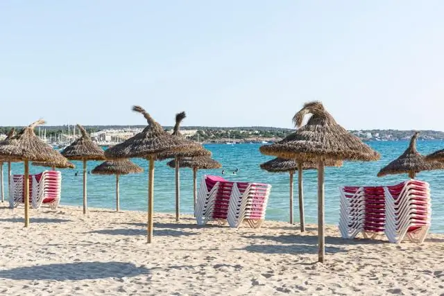 Снижение содержания ртути у белых медведей, вероятно, связано с изменениями климата