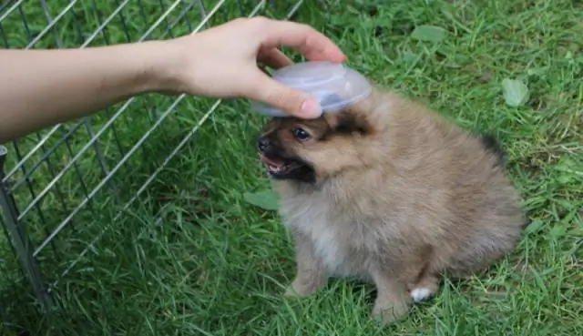 Заработок в меняющемся климате: точка зрения завода