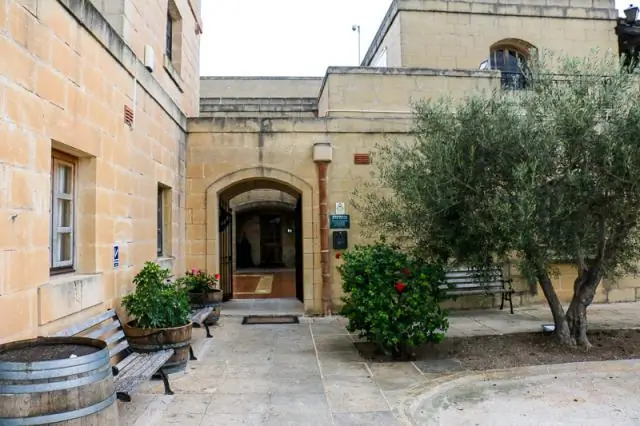 Перспективный потенциал гороха в стране большого неба: исследователи определили, что горох полезен для потребителей, практический результат