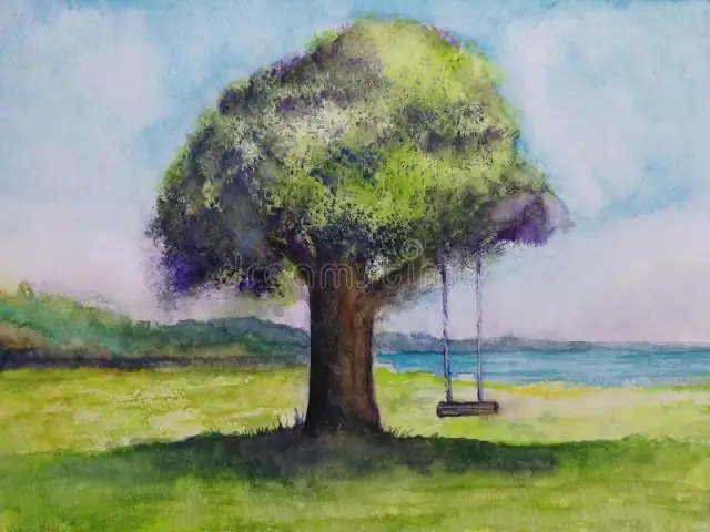 Элегантный переключатель управляет трансляцией при переходе от яйца к эмбриону