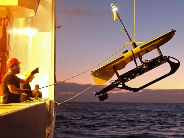 Генетическая связность горных львов в Южной Калифорнии опасно низка: в отчете предлагается создать природоохранную сеть, охватывающую Санта-Ана и горы Восточного полуострова