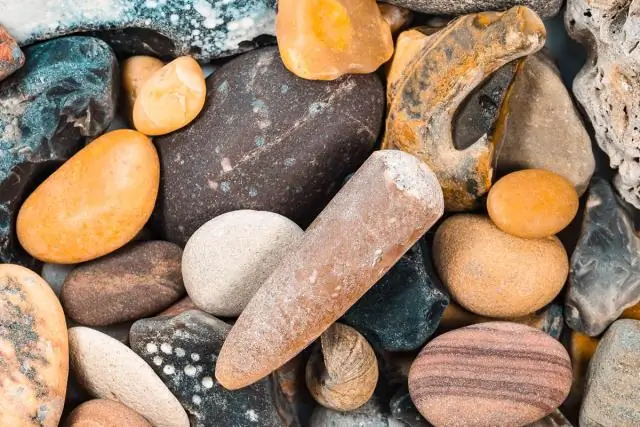 Необычная окраска соевых бобов проливает свет на замалчивание генов