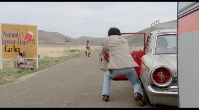 Как остановить затаившегося противного паразита токсоплазмоза? Нацельтесь на его «желудок», предполагают исследования