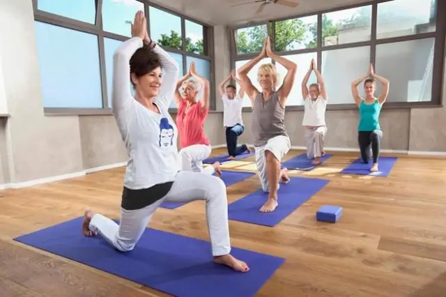 Древняя ДНК раскрывает роль Ближнего Востока и Египта в приручении кошек