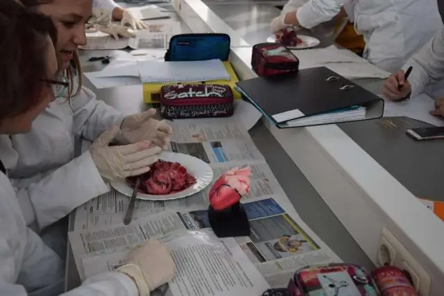 Открытые данные изображений для биологии