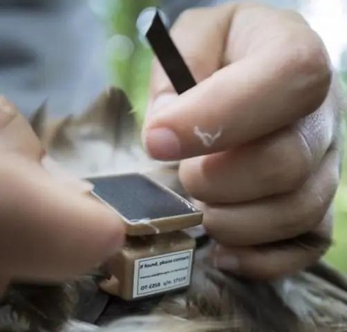 Ускорение роста температуры в Пиренеях