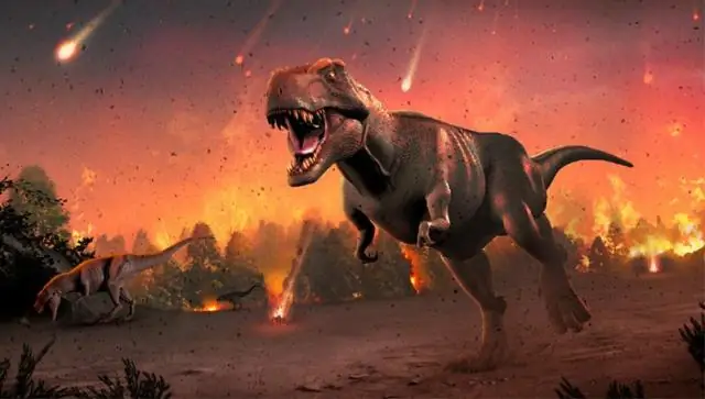 Вымирание опылителей меняет структуру экологических сетей: полевые эксперименты показывают, как удаление видов опылителей нарушает модели кормодобывания