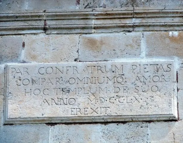 Оса «Звездная пыль» - новый вымерший вид, названный в честь альтер-эго Дэвида Боуи