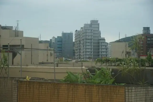 Сладкие взятки для муравьев являются ключом к урожаю, приносящему плоды, показывают исследования