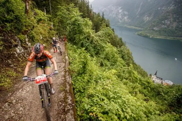 Новая трехмерная модель прогнозирует лучшие методы посадки для фермеров