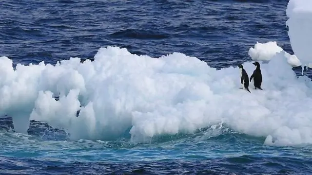 Повышение уровня моря может привести к 2 миллиардам беженцев к 2100 году