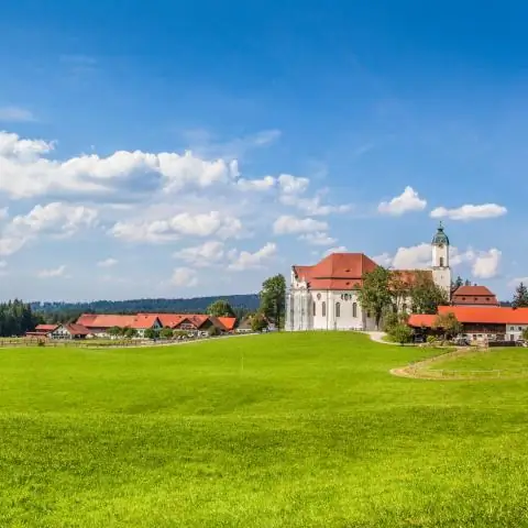 Десять миллионов тонн рыбы выбрасывается ежегодно, несмотря на сокращение рыбных запасов