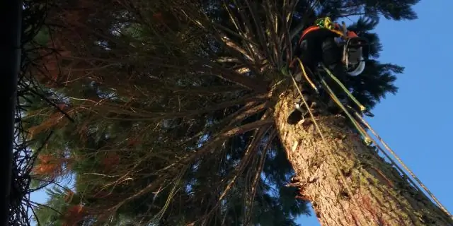 Загрязнение воздуха бросает тень на производство солнечной энергии: наиболее пострадавшие районы – крупные инвесторы в солнечную энергетику: Китай, Индия, Аравийский полуостров