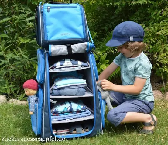 Маленькое место для моих вещей: насколько большие бактерии могут расти, зависит от того, сколько жира они могут производить