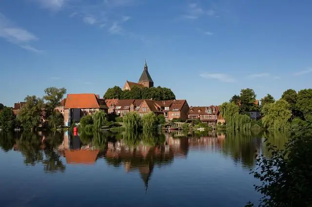 Тайна микроба раскрыта: что случилось с нефтяным шлейфом Deepwater Horizon? Исследователи моделируют разлив, обнаруживают новую бактерию, составляют карту активности микробов