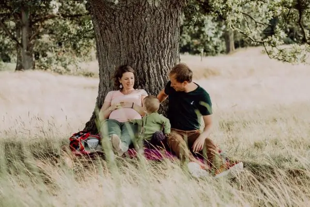 Животные, а не засуха, сформировали среду обитания наших предков