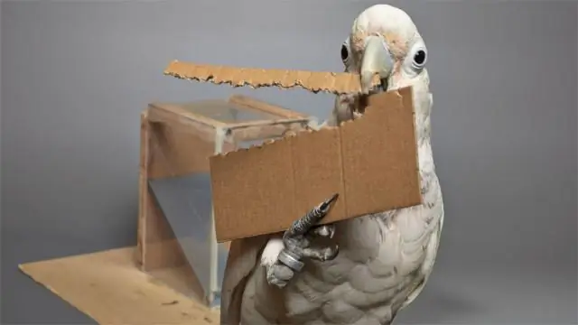 Охота на микробов или запах яда: вопрос эволюции