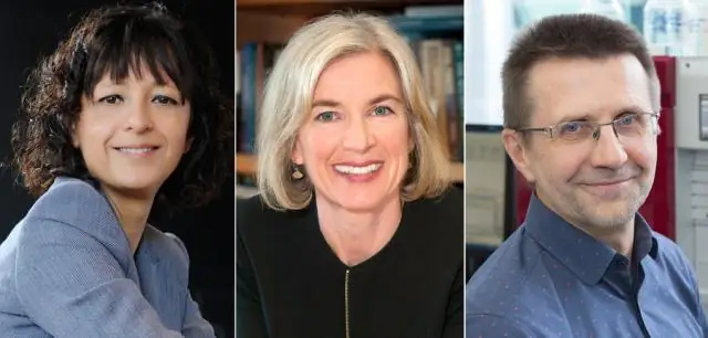 Генно-инженерный инструмент позволяет получить фиолетовый рис, богатый антиоксидантами