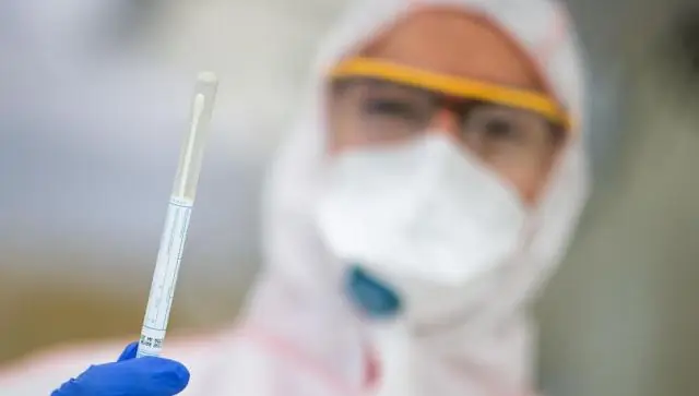 Что мы можем узнать о глобальной эволюции гриппа из инфекции одного человека