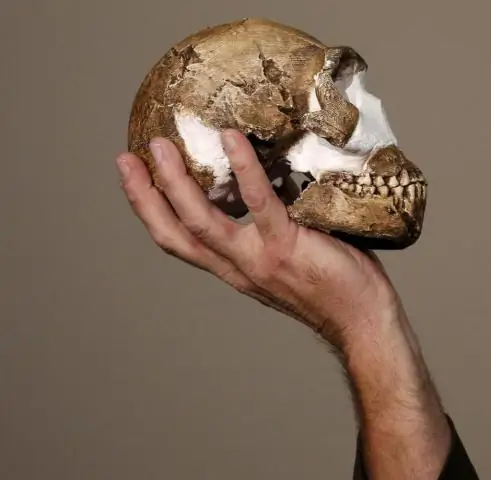 Обнаружены остатки раннего постоянного поселения людей в Андах