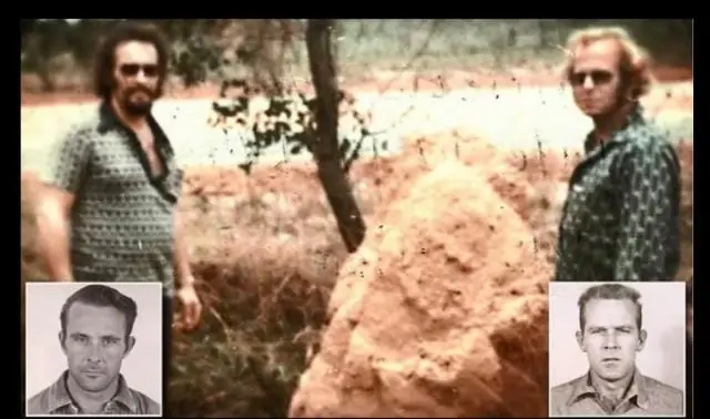 Анализ изображений и искусственный интеллект изменят молочное животноводство: изображения походки коровы позволяют на ранней стадии выявлять серьезные заболевания