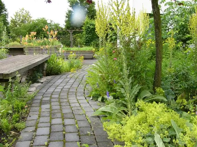 Ценность природы: новая модель объединяет экологию и экономику, чтобы определить, как защитить биоразнообразие путем управления экосистемными услугами