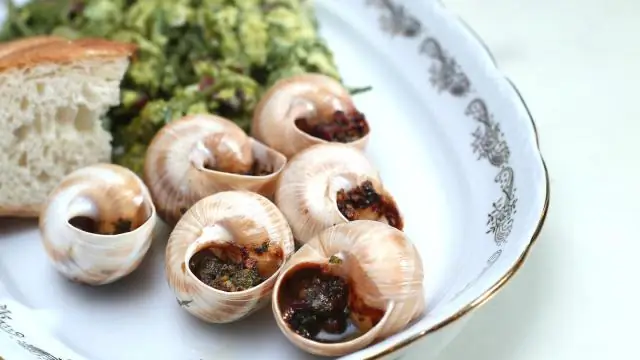 Потенциально смертельный паразит крысиный легочный червь обнаружен по всей Флориде