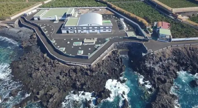 Ценные вещества, извлеченные из пней и корней хвойных деревьев