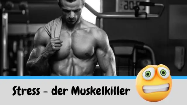 Увеличение количества солнечного света летом приводит к усилению таяния льда в Гренландии