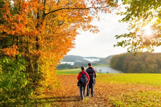 Исследование пожилых людей в США подтверждает связь между загрязнением воздуха и преждевременной смертью