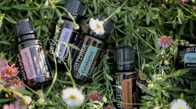 Перекись водорода защищает растения от солнечных лучей