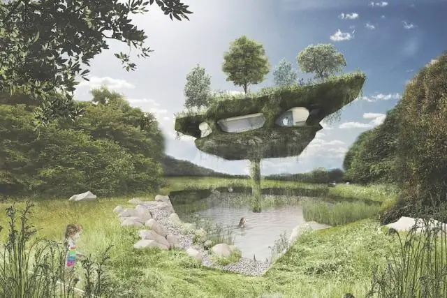 Больше молочая, разбросанного по всему ландшафту, может помочь сохранить монархов: новое исследование освещает многосторонние варианты восстановления легендарной бабочки