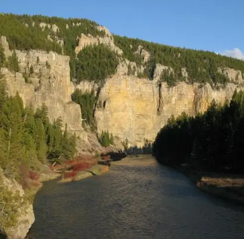 Промышленное земледелие нарушает цикл выгорания-восстановления на пастбищах