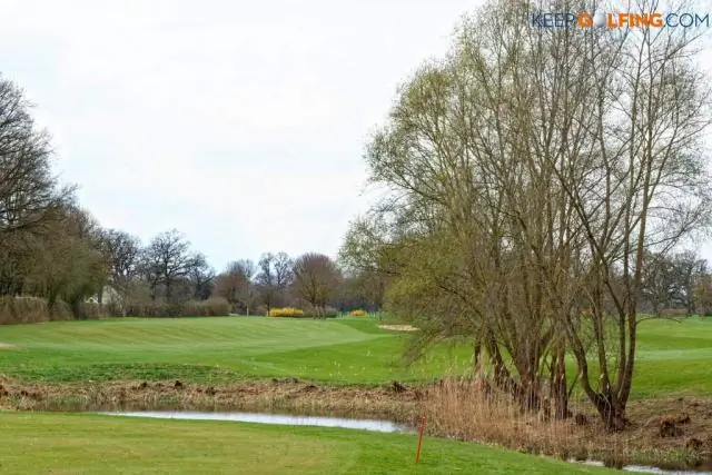 Древний кит из Южной Каролины раскрывает секреты происхождения фильтрующего питания