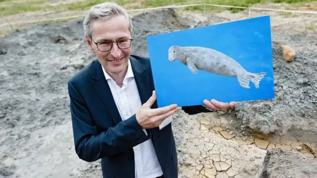 Древняя швейцарская рептилия впервые демонстрирует свою причудливую чешуйчатую броню