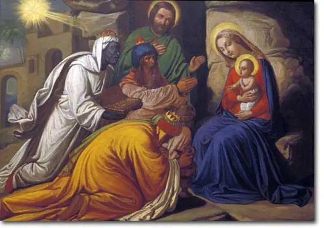 Окрашенные бабочки Иезавели отпугивают хищников с помощью ярких крыльев