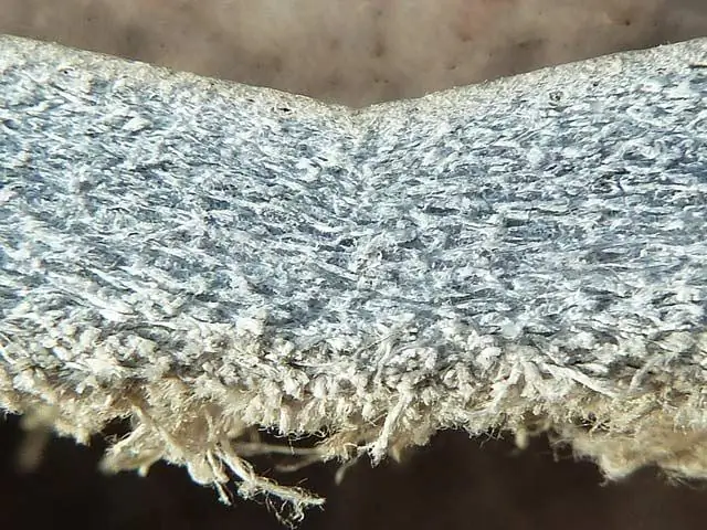 Черный углерод варьируется, но упорно сохраняется в снегу и льду по всему миру