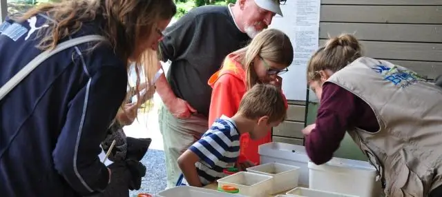 Стрекоза показывают, как биоразнообразие меняется во времени и пространстве: экологи помогают измерить воздействие высших хищников во времени