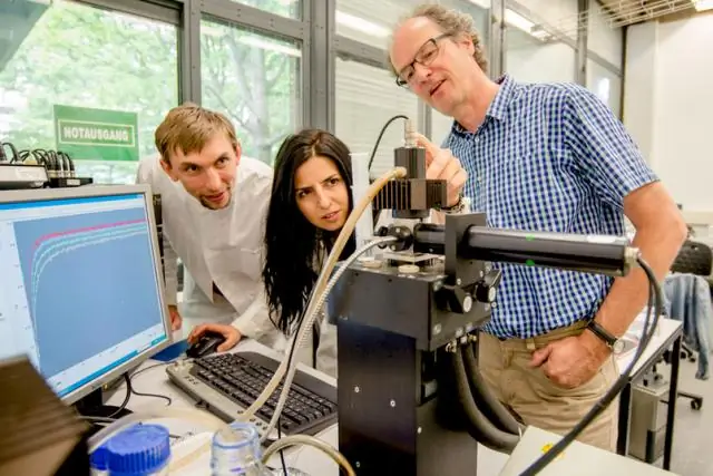 Иммунный защитный механизм: как белки объединяют мембранные пузырьки