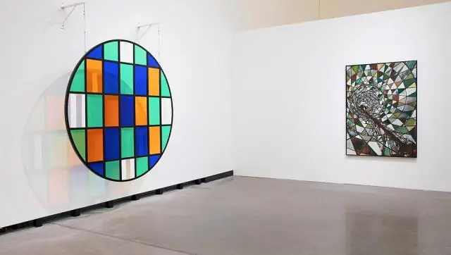 Видеть цветной свет: пчелиный мозг открывает путь к лучшим камерам: исследователи открыли совершенно новый механизм обработки информации о цвете