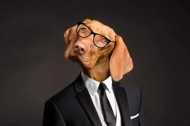 Понимание риска исчезновения млекопитающих