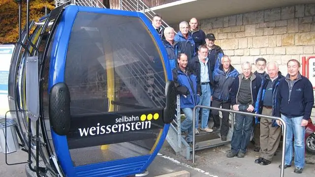 Потеря динозавров была приобретением лягушек: Положительная сторона массового вымирания: 88 процентов живых лягушек произошли от эволюционного излучения, начавшегося на границе K-Pg