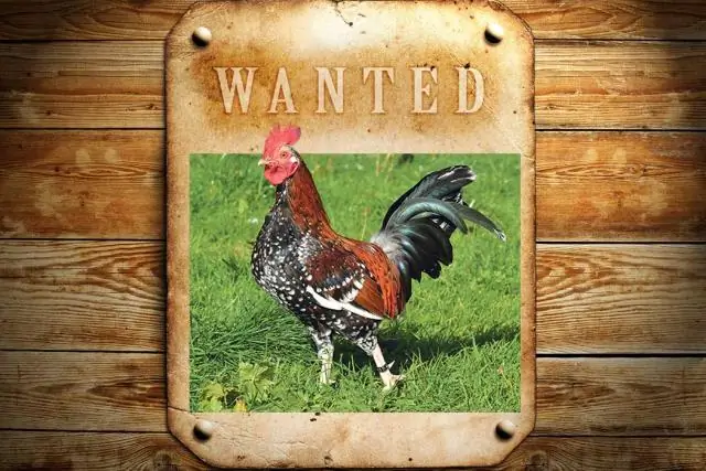 Спасение лилии от вымирания