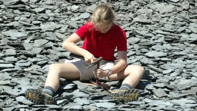 Высовывая шею: как плезиозавры плавали с такими длинными шеями?