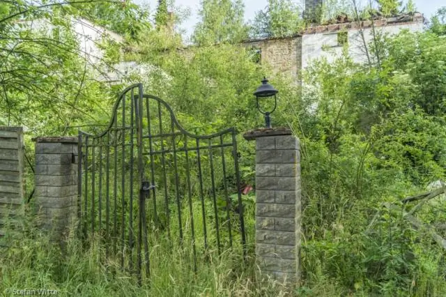 Забытые архивы раскрывают последствия землетрясения и цунами в Пуэрто-Рико в 1918 году на уровне улиц