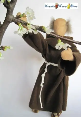 Древнее животное, считавшееся первым дышащим воздухом на суше, теряет славу