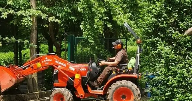 Виды «сорняков», которые захватят наши будущие океаны