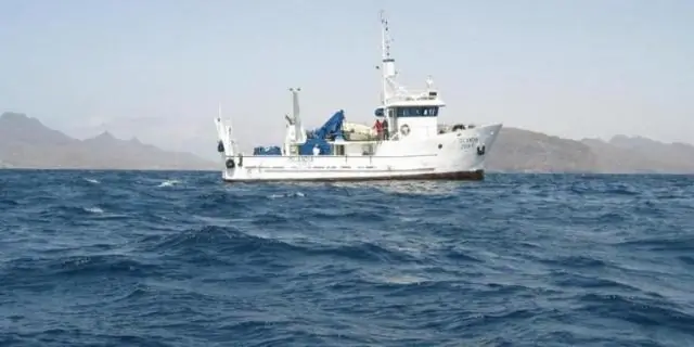 Вихри с экстремально низким содержанием кислорода в Атлантике производят парниковые газы: международная исследовательская группа обнаружила ранее неизвестные процессы в Атлантике