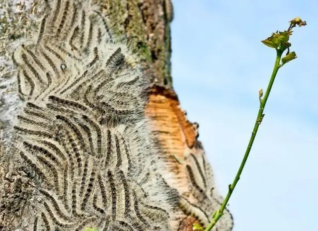 Наиболее эффективные индивидуальные шаги по борьбе с изменением климата не обсуждаются