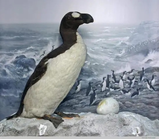 Недавно открытые элованоиды назвали «преобразующей новой концепцией биологии»